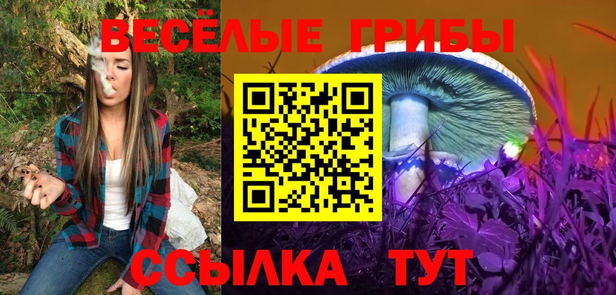 Галлюциногенные грибы мухоморы  купить  сайты  Галлюциногенные грибы Cubensis  Коркино  Вход с VPN 