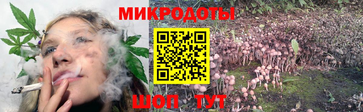 Галлюциногенные грибы ЛСД Коркино